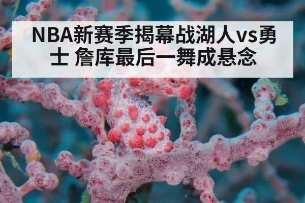 NBA新赛季揭幕战湖人vs勇士 詹库最后一舞成悬念